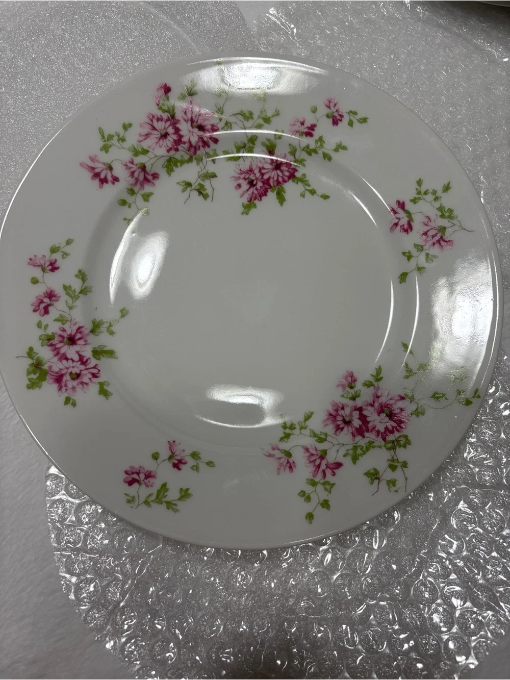 G. Ahrenfeldt Limoges Pink Floral Salad Plates - Set of 10